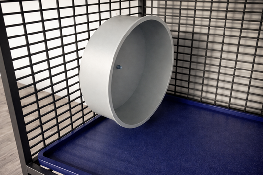 Silent Metal Rodent Wheel | For Rats, Degus, and Chinchillas