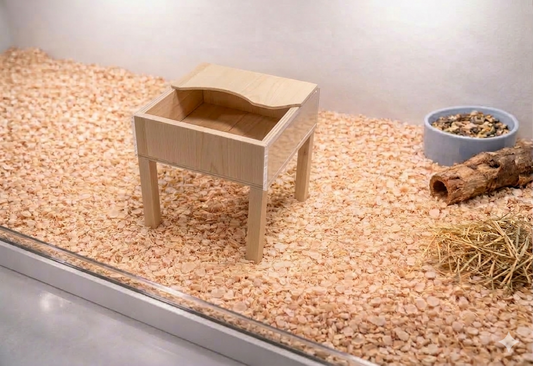 Square Sand Bath for Hamsters and Small Rodents