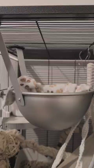 Ripiano sospeso per ratti installazione in gabbia